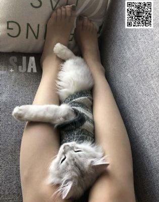 零下三十八度免费版_国产剧高清视频播放
