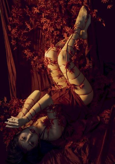 藏海花电视剧全集在线观看 免费_超清高清视频观看