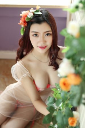 号手就位电视剧免费观看_90集免费观看