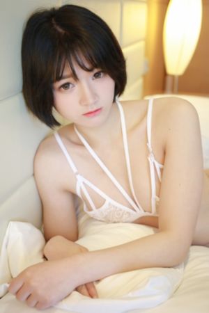神犬奇兵全部免费观看正版530_DVD电视剧在线观看